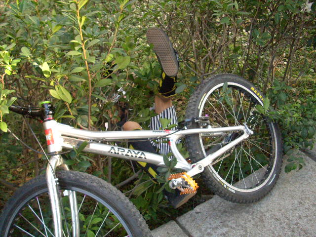 http://biketrial.tw/images/forum/DSCI0241.JPG