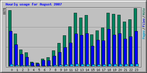 Hourly usage for August 2007